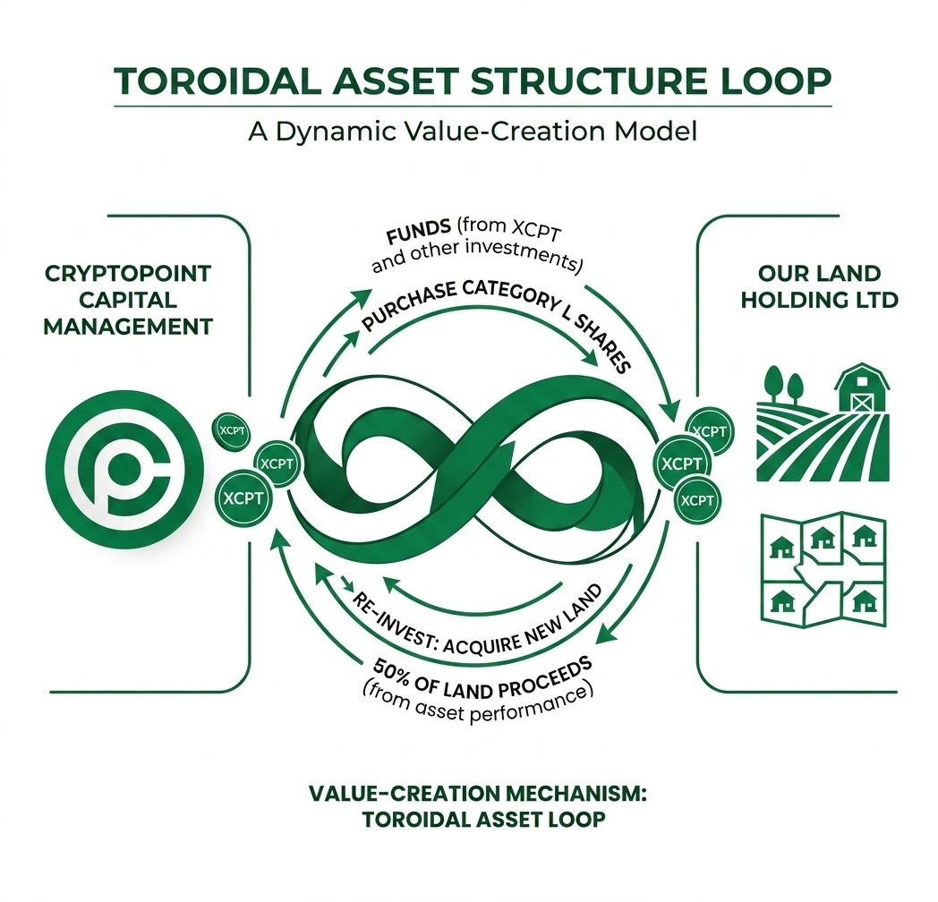 Asset structure diagram